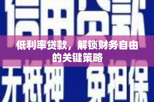 普湾新区低利率贷款，解锁财务自由的关键策略