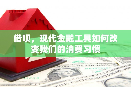普湾新区借呗，现代金融工具如何改变我们的消费习惯