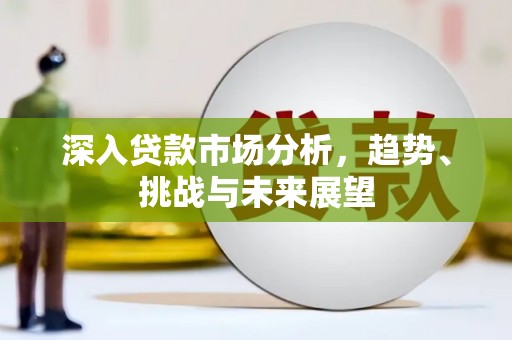 普湾新区深入贷款市场分析，趋势、挑战与未来展望