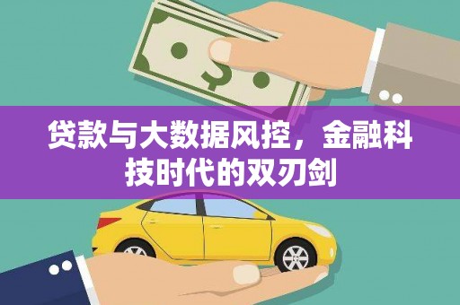 普湾新区贷款与大数据风控，金融科技时代的双刃剑