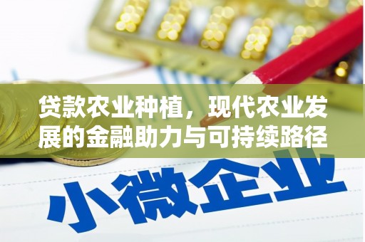 普湾新区贷款农业种植，现代农业发展的金融助力与可持续路径