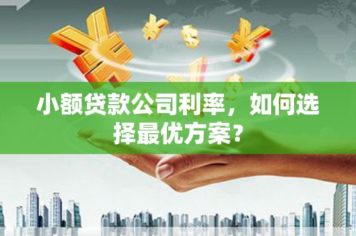 普湾新区小额贷款公司利率，如何选择最优方案？