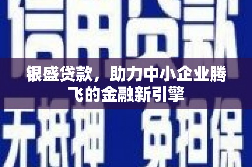 普湾新区银盛贷款，助力中小企业腾飞的金融新引擎