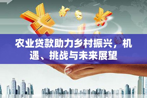 普湾新区农业贷款助力乡村振兴，机遇、挑战与未来展望