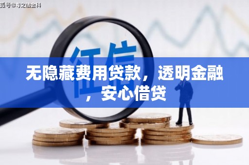 普湾新区无隐藏费用贷款，透明金融，安心借贷