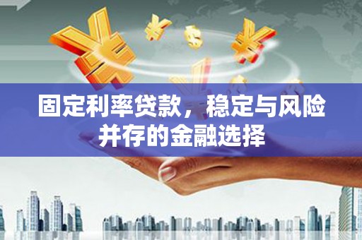 普湾新区固定利率贷款，稳定与风险并存的金融选择