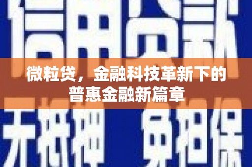 普湾新区微粒贷，金融科技革新下的普惠金融新篇章