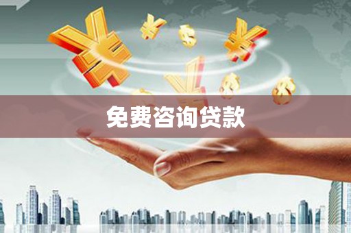 普湾新区免费咨询贷款