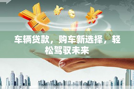 普湾新区车辆贷款，购车新选择，轻松驾驭未来