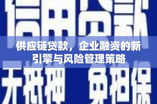 普湾新区供应链贷款，企业融资的新引擎与风险管理策略