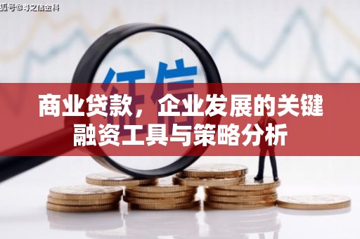 普湾新区商业贷款，企业发展的关键融资工具与策略分析