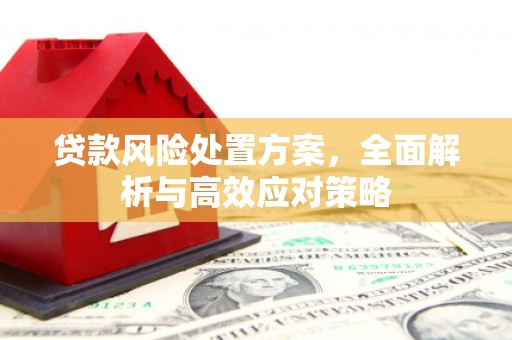 普湾新区贷款风险处置方案，全面解析与高效应对策略
