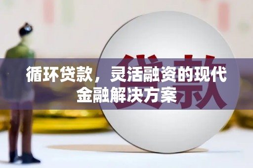 普湾新区循环贷款，灵活融资的现代金融解决方案