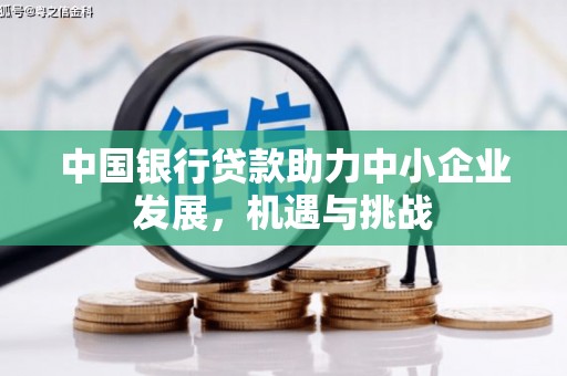 普湾新区中国银行贷款助力中小企业发展，机遇与挑战