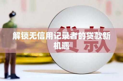 普湾新区解锁无信用记录者的贷款新机遇