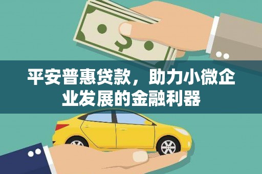 普湾新区平安普惠贷款，助力小微企业发展的金融利器