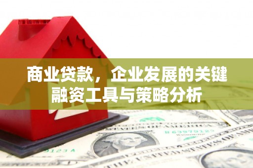 普湾新区商业贷款，企业发展的关键融资工具与策略分析