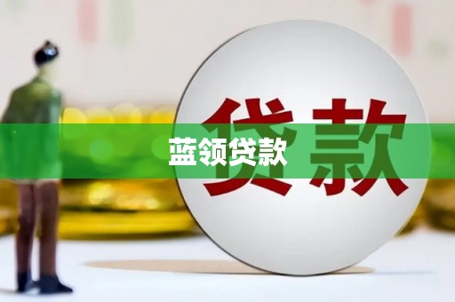 普湾新区蓝领贷款
