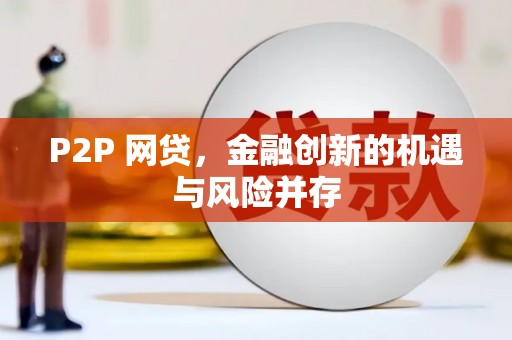 普湾新区P2P 网贷，金融创新的机遇与风险并存