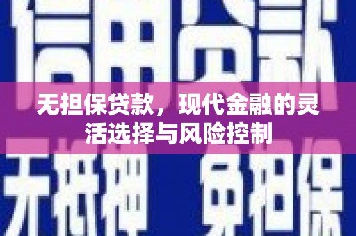 普湾新区无担保贷款，现代金融的灵活选择与风险控制