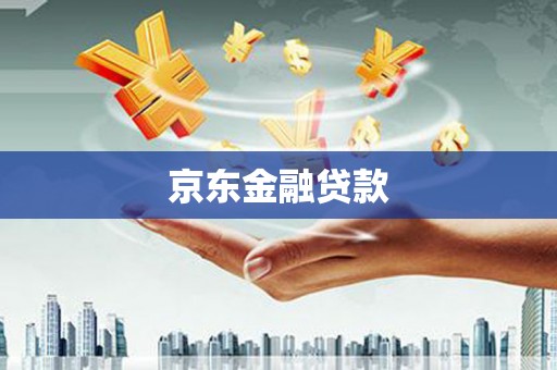 普湾新区京东金融贷款