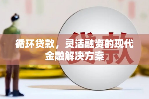 普湾新区循环贷款，灵活融资的现代金融解决方案