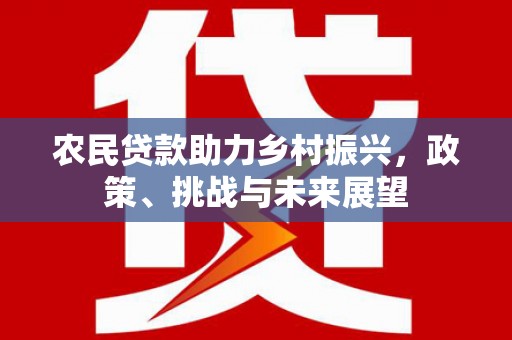 普湾新区农民贷款助力乡村振兴，政策、挑战与未来展望