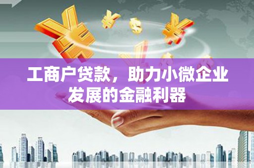 普湾新区工商户贷款，助力小微企业发展的金融利器