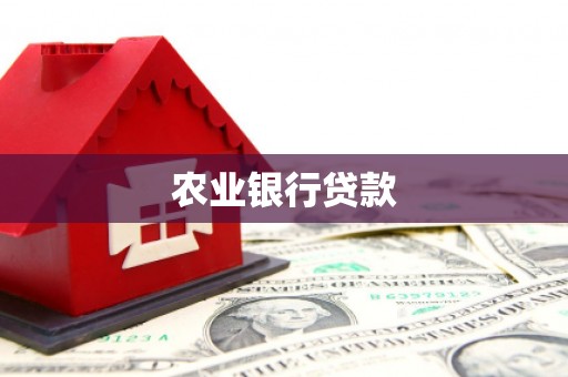 普湾新区农业银行贷款