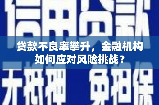 普湾新区贷款不良率攀升，金融机构如何应对风险挑战？