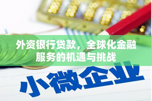 普湾新区外资银行贷款，全球化金融服务的机遇与挑战