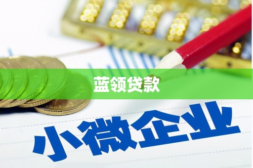 普湾新区蓝领贷款