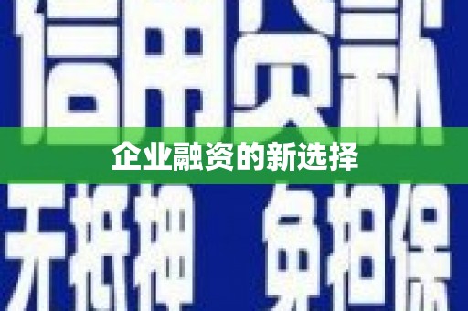 普湾新区企业融资的新选择