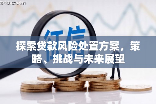 普湾新区探索贷款风险处置方案，策略、挑战与未来展望