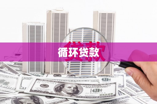 普湾新区循环贷款