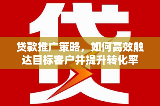 普湾新区贷款推广策略，如何高效触达目标客户并提升转化率