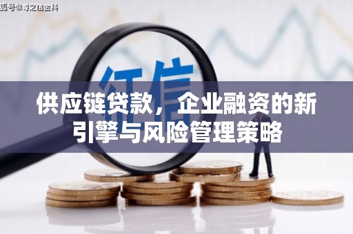 普湾新区供应链贷款，企业融资的新引擎与风险管理策略