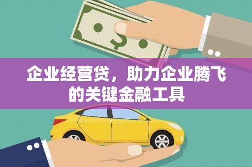 普湾新区企业经营贷，助力企业腾飞的关键金融工具