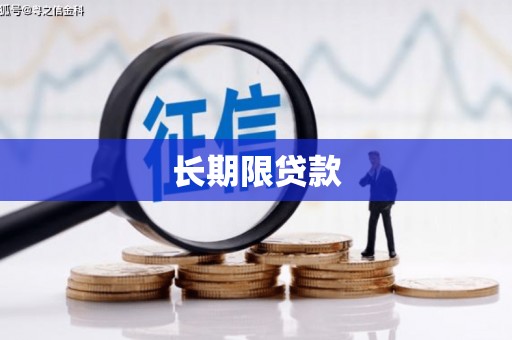 普湾新区长期限贷款