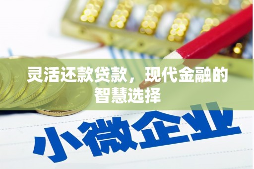 普湾新区灵活还款贷款，现代金融的智慧选择