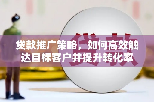 普湾新区贷款推广策略，如何高效触达目标客户并提升转化率