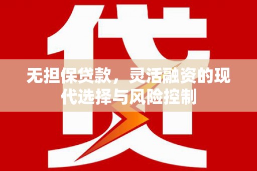 普湾新区无担保贷款，灵活融资的现代选择与风险控制