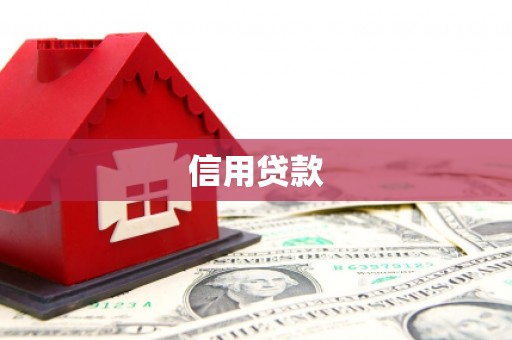 普湾新区信用贷款