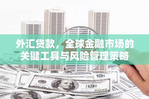 普湾新区外汇贷款，全球金融市场的关键工具与风险管理策略