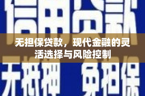 普湾新区无担保贷款，现代金融的灵活选择与风险控制