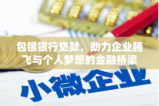 普湾新区包银银行贷款，助力企业腾飞与个人梦想的金融桥梁