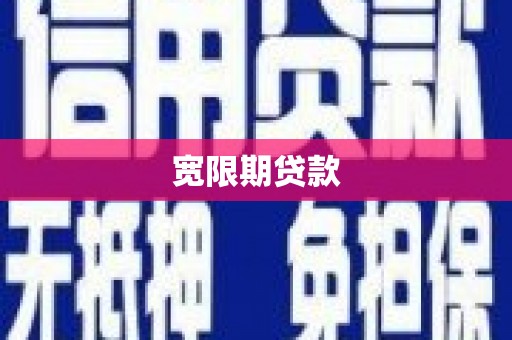 普湾新区宽限期贷款