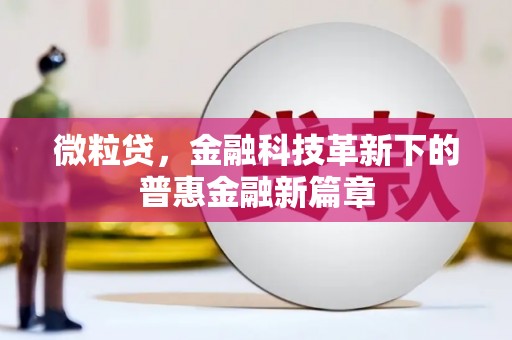 普湾新区微粒贷，金融科技革新下的普惠金融新篇章