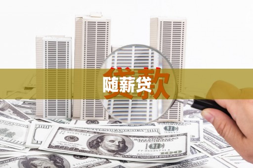 普湾新区随薪贷