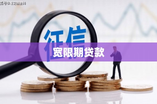 普湾新区宽限期贷款